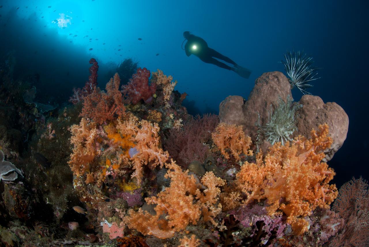 Murex Dive Resort Manado Zewnętrze zdjęcie